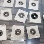 Pan Cyan Nec'D Spore Prints