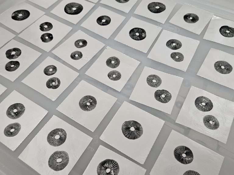 Rows of beautiful panaeolus spore prints individually cut on aluminum foil.