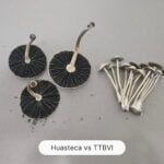 2 groups of mushrooms are displayed on a stainless steel surface. On the left is Huasteca which is considerably larger than the group of TTBVI on the right. A cyan colored label at the bottom reads "Huasteca vs TTBVI.