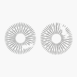 Two imperfect spore prints