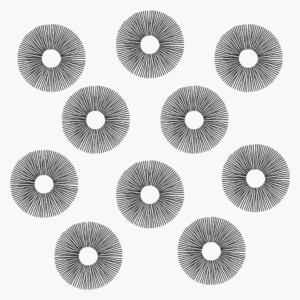 Nine detailed spore prints in a sunburst design.