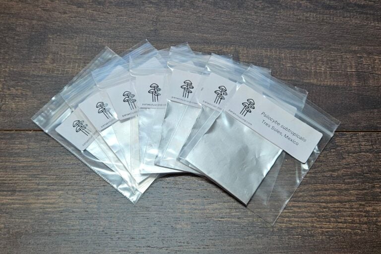 Seven foil spore prints placed in bags are spread across a dark wooden table.